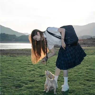 龙虎武师